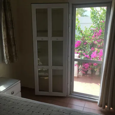 Nora فيلة *