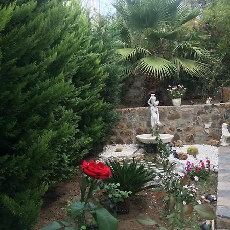 Nora فيلة *